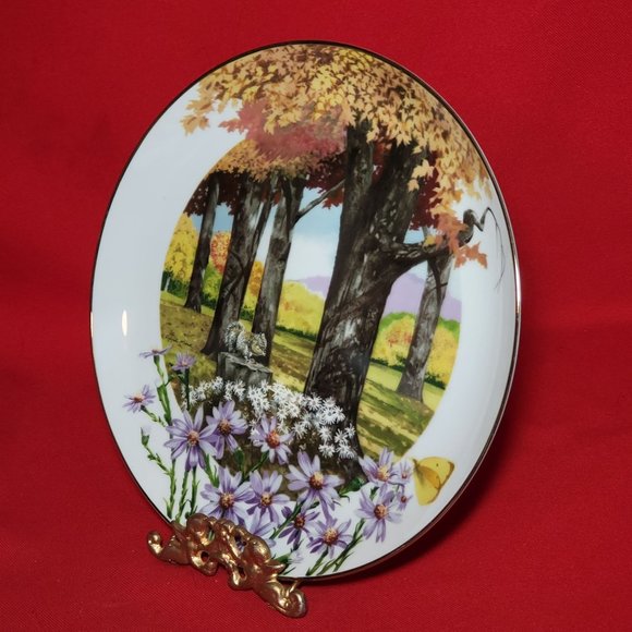VTG Decorative Plate Royal Windsor Frost Aster Wildflowers of the South - Picture 10 of 12